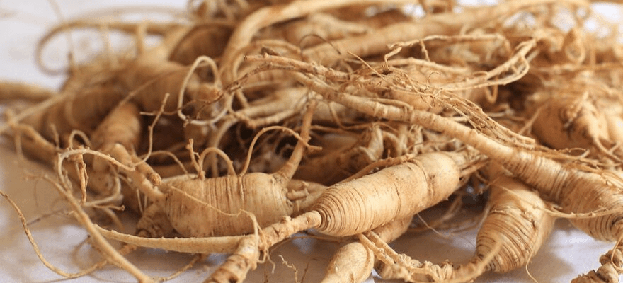 Close up of ginger root