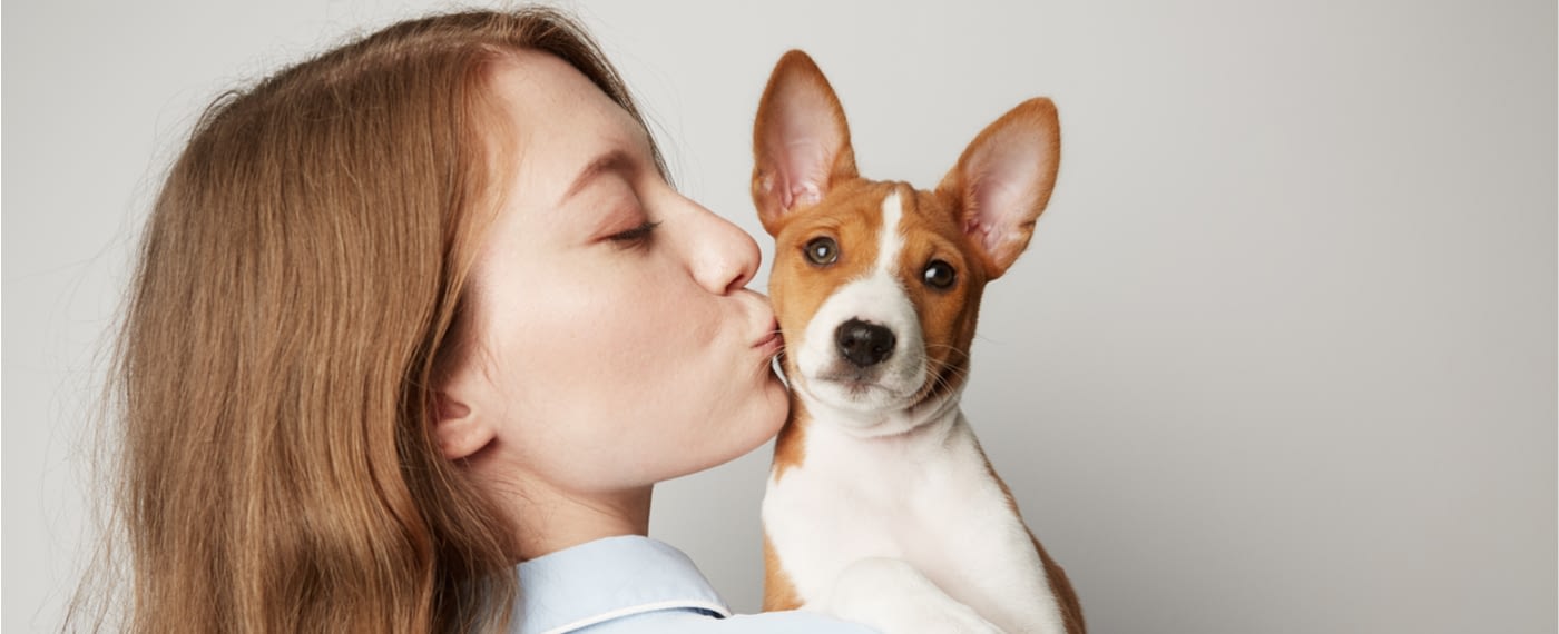 A cute puppy small enough for a tiny apartment receives a kiss