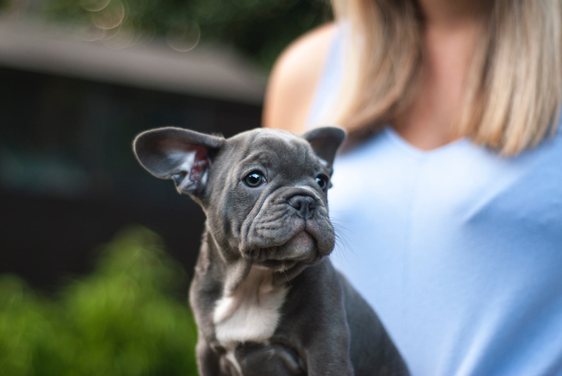 A small puppy held by their owner outside a small apartment