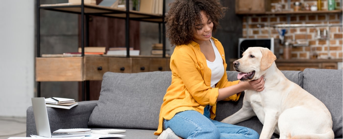 Woman sitting on couch in apartment petting dog