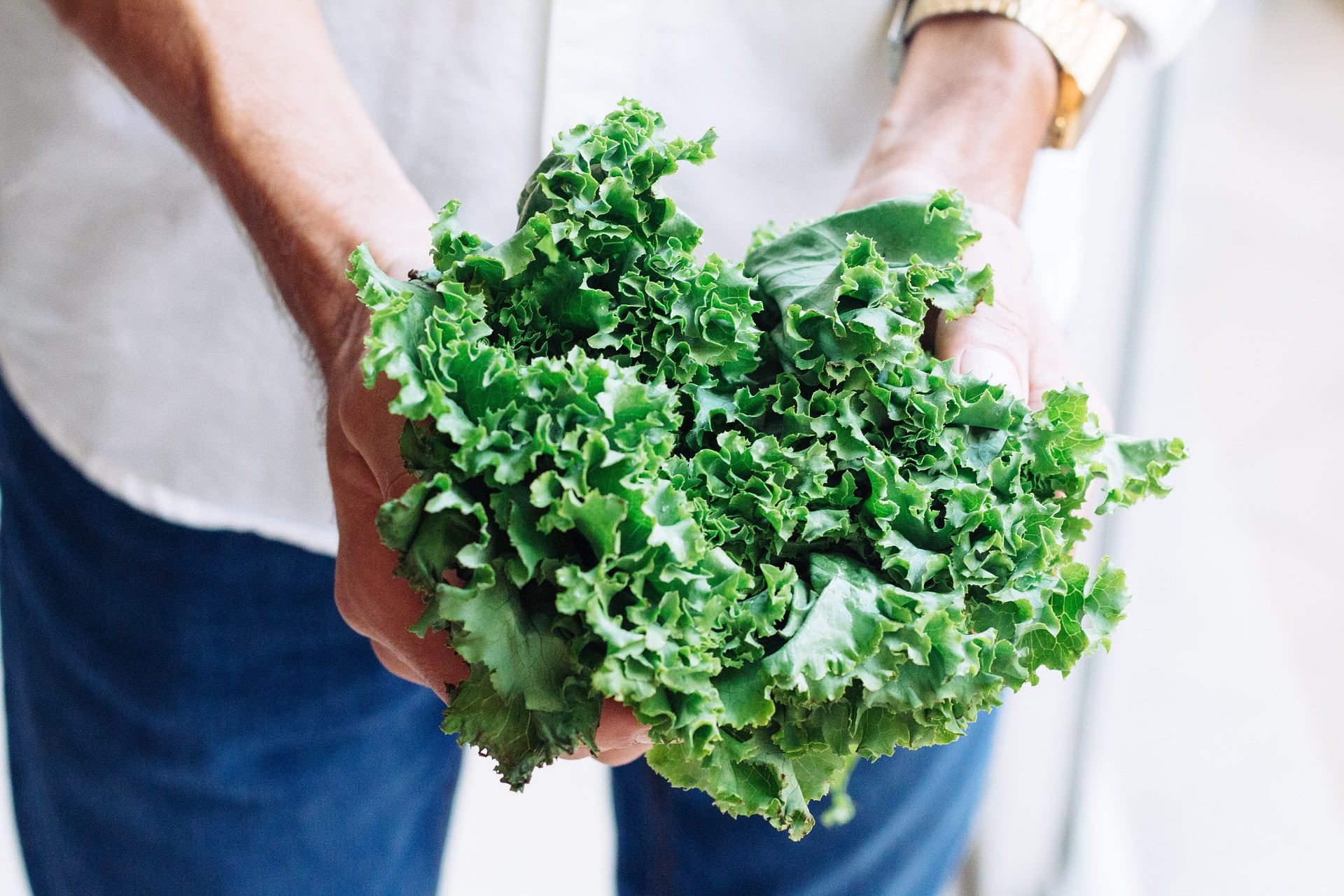 Woman holding fresh kale in her hands