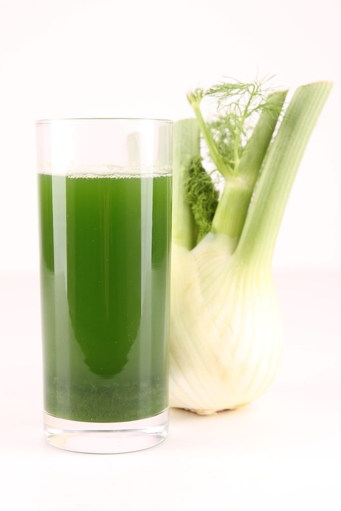 A tall glass of cucumber and fennel bulb juice