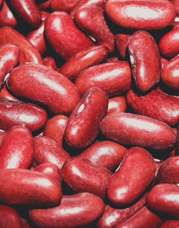 A bundle of red kidney beans that affect gut health