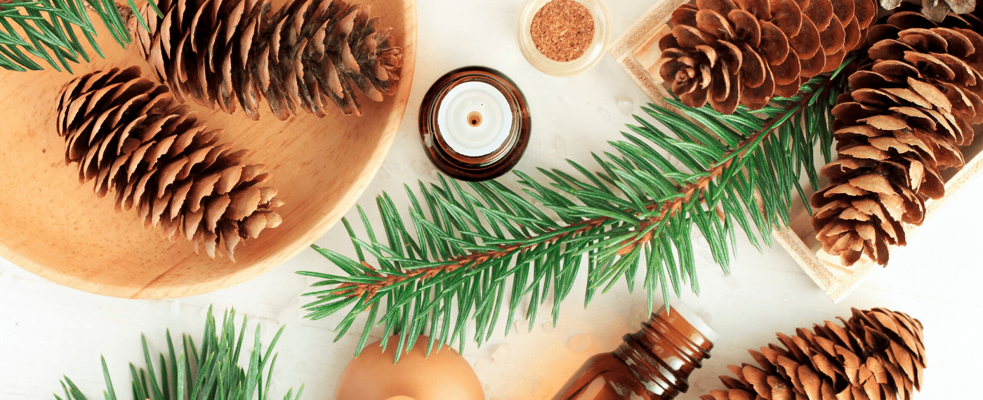 A festive collection of natural remedies for your gt health