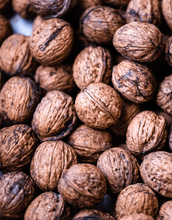 Fresh walnuts packed with nutrients to help reduce cardio vascular disease