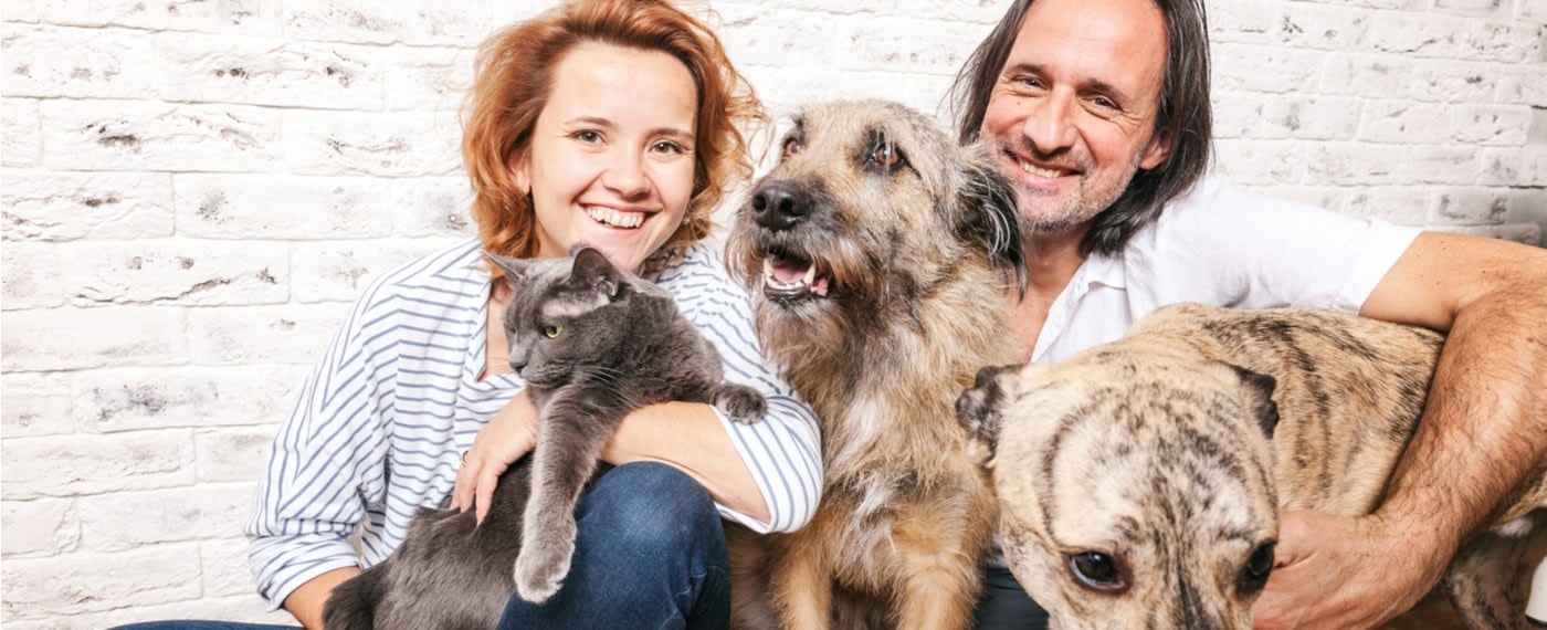 man and woman holding dogs and a cat