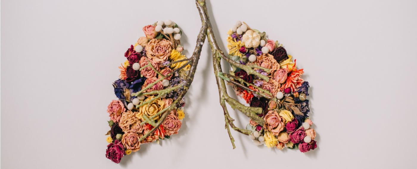 An assortment of flowers arranged in the shape of human lungs
