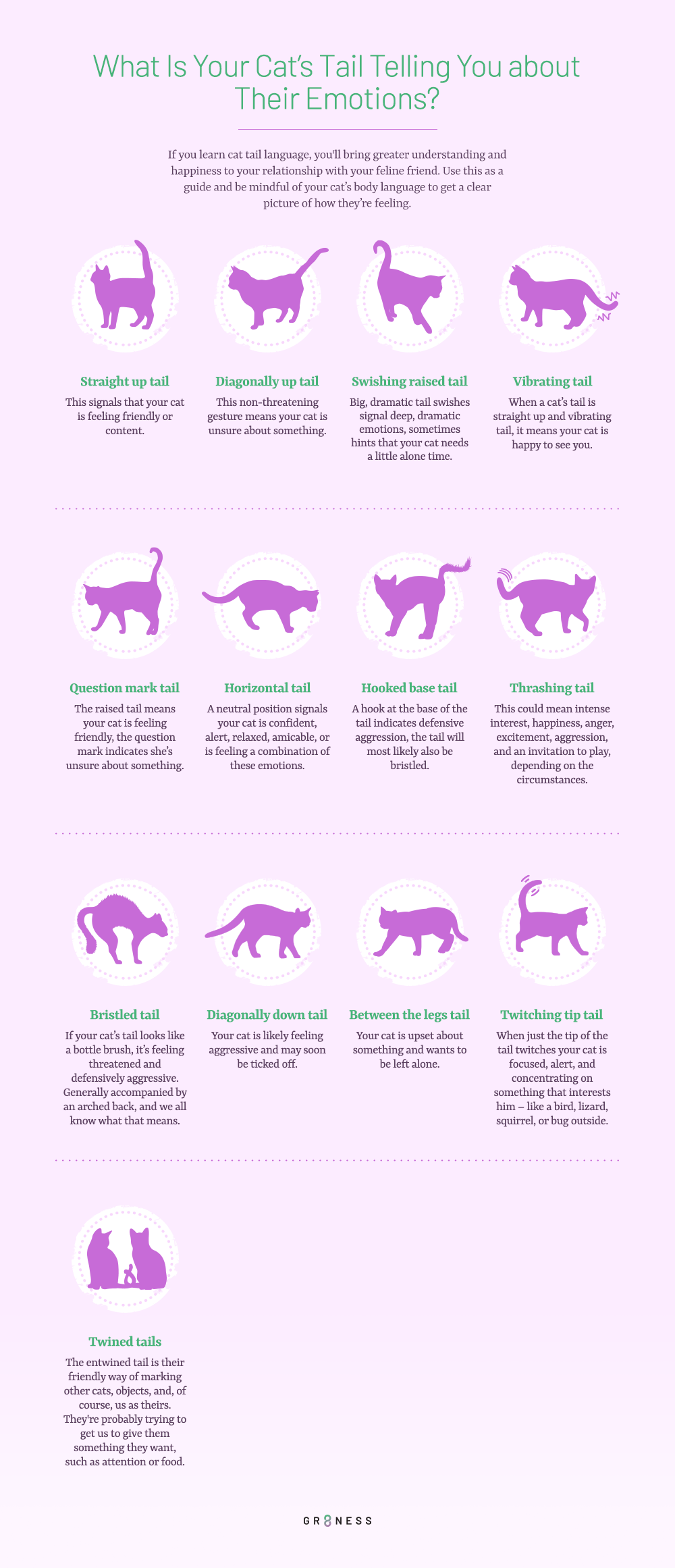 A list of differing cat tail positions that represent a different cat emotion