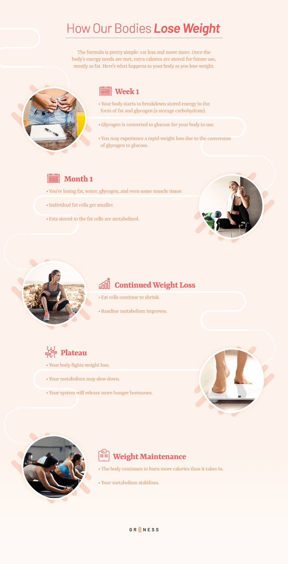 Step by step guide about how our body loses weight overtime