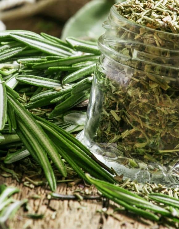 glass jar of ground up rosemary with rosemary leaves on the side