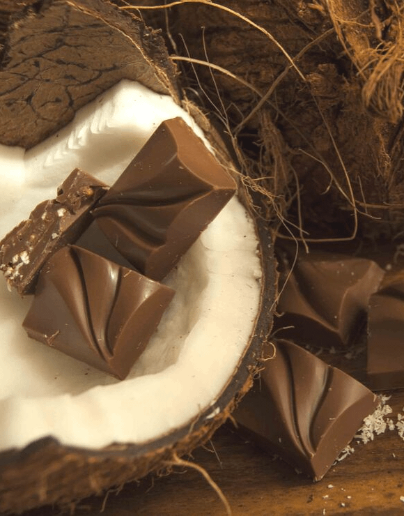 Pieces of chocolate with a coconut
