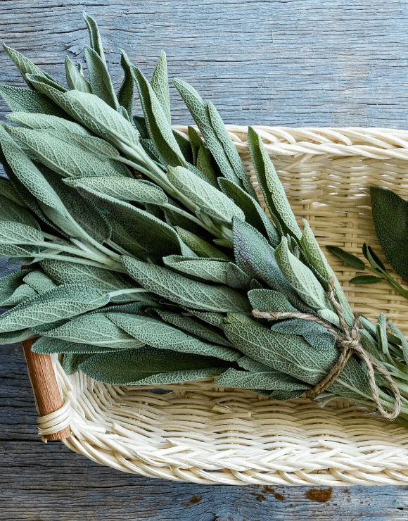 a bundle of sage leaves tied in a weaved basket