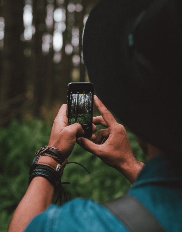 Man using smartphone to take a picture of the forest