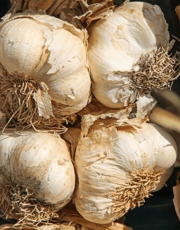 Four large unpeeled onions that boosts respiratory health